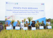 Panen Padi Bersama, Momentum Menjaga Ketahanan Pangan Dan Inflasi Daerah