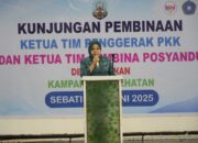 Dipimpin Hj. Rahmawati Zainal, TP PKK Kaltara Sukses Gelar Bakti Sosial di Sebatik