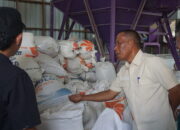 Panen Raya Padi di Desa Sajau Hilir, Bupati Syarwani: 5 Ribu ASN Bulungan Wajib Serap Beras Lokal  ‎