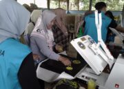 Dari Sampah Jadi Berkah: Unikaltar Bangun Ekonomi Sirkular di Bulungan