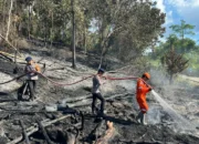 Sigap! Brimob Polda Kaltara Jinakkan Karhutla di Jelarai Hulu