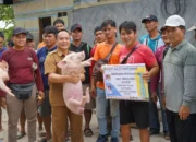 Salurkan 345 Bibit Ternak Babi, Wabup Bulungan Tekankan Pendampingan Berkelanjutan dan Pemanfaatan Optimal