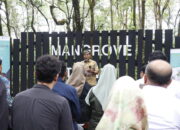 Hari Lahan Basah Sedunia, Gubernur Tegaskan Peran Mangrove