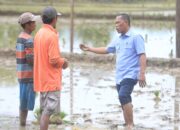 Refleksi Hari Jadi ke-66 Bulungan, Syarwani: Ukuran Sukses Pembangunan, Manfaat yang Dirasa Masyarakat ‎