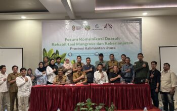 M4CR Dorong Kolaborasi Multipihak melalui Forum Komunikasi Daerah untuk Rehabilitasi Mangrove Berkelanjutan di Kalimantan Utara